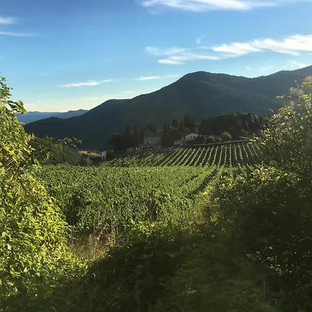 Vakantieboerderij Frascole Dicomano