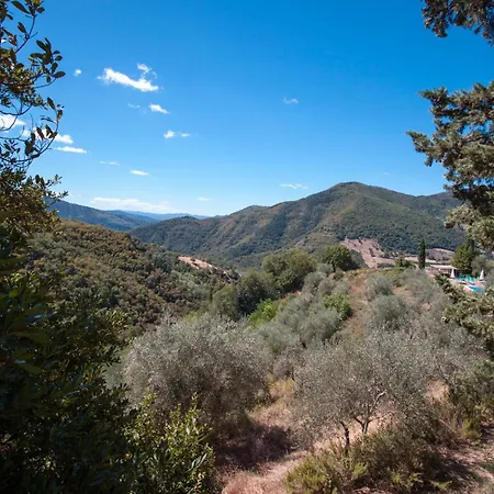 Vakantieboerderij Frascole Dicomano